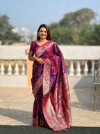Catalog Designer Saree