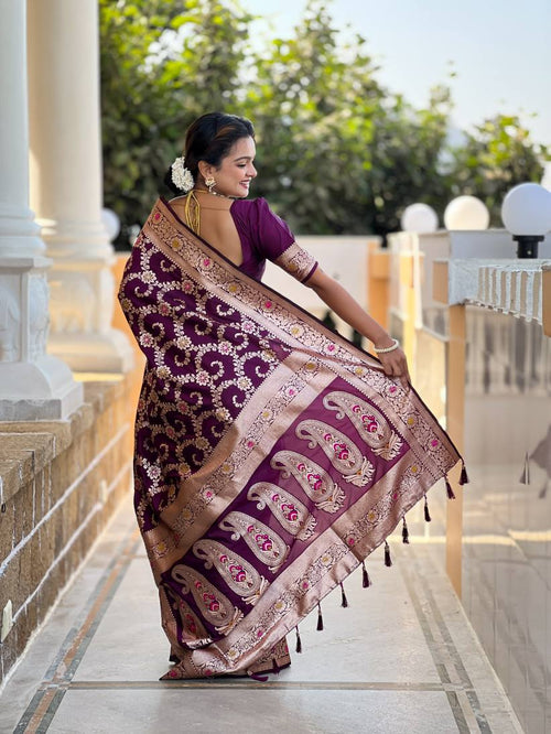 Catalog Designer Saree