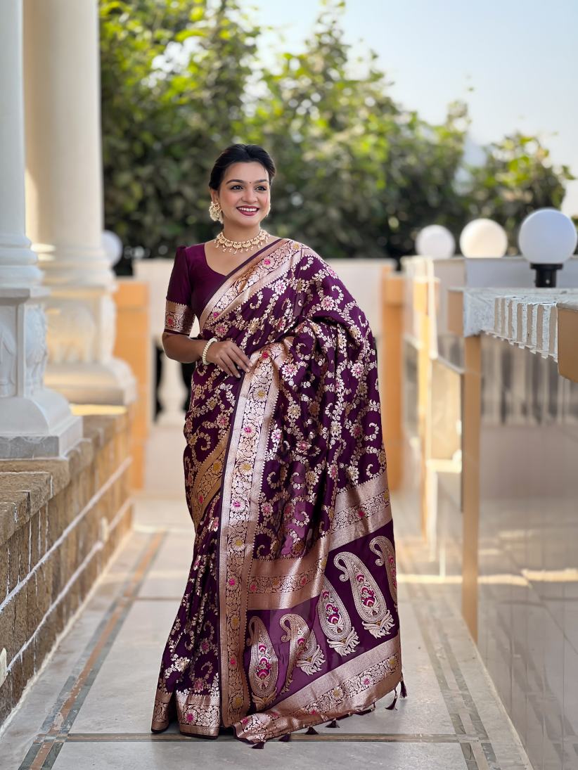 Catalog Designer Saree