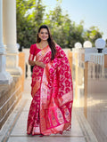 Catalog Designer Saree