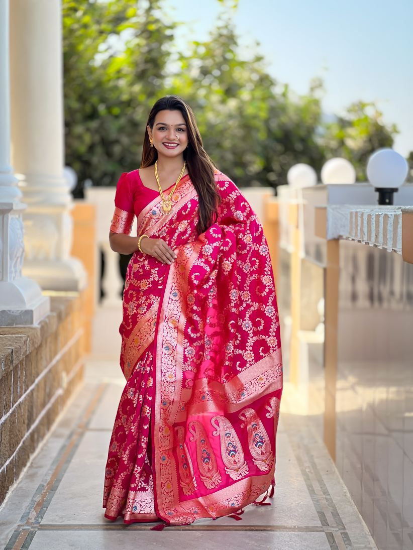 Catalog Designer Saree