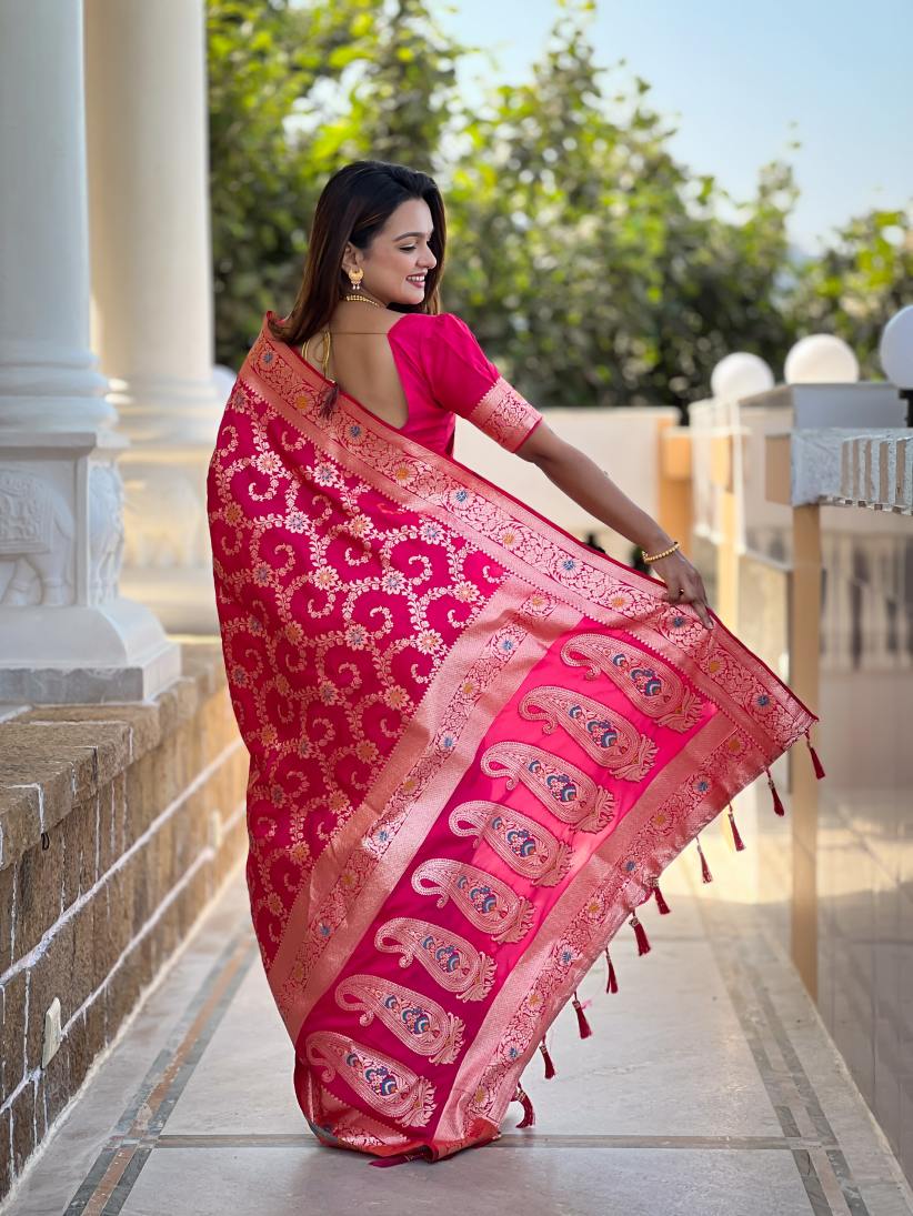 Catalog Designer Saree
