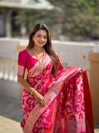 Catalog Designer Saree
