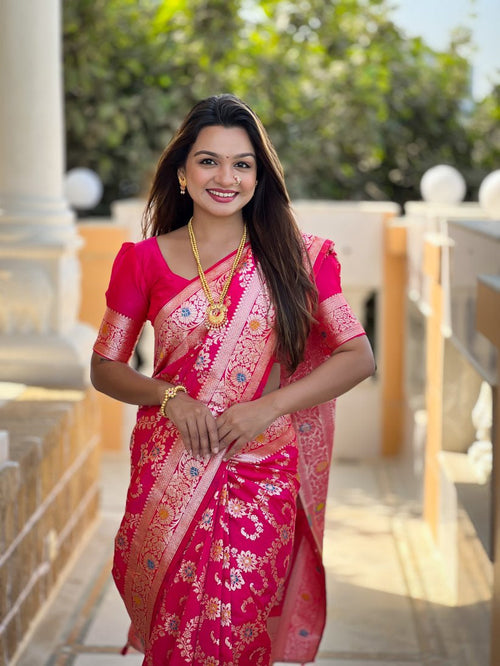 Catalog Designer Saree