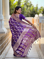 Catalog Designer Saree