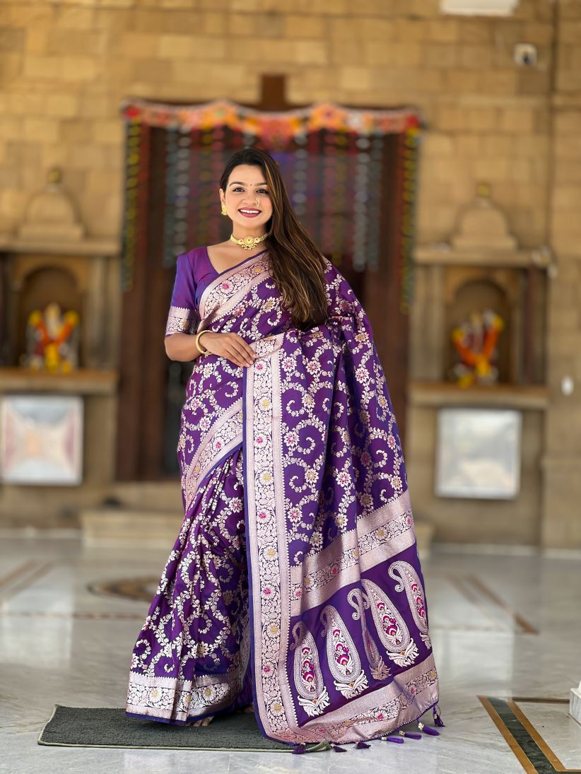 Catalog Designer Saree