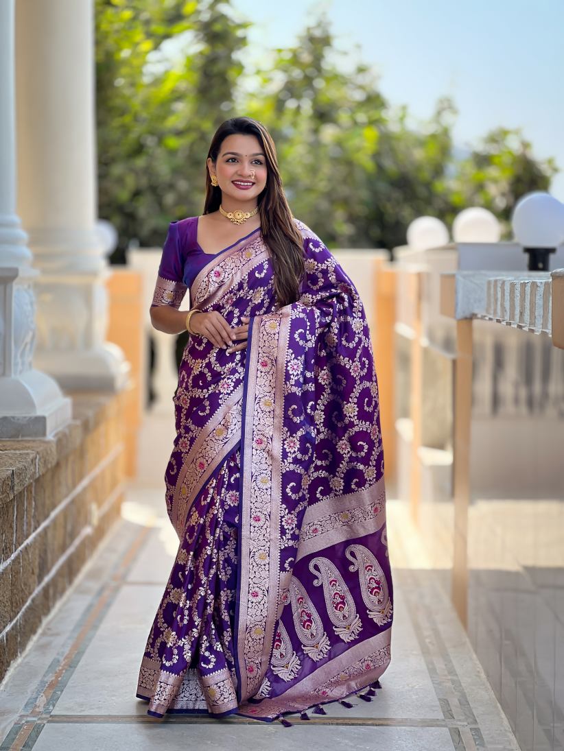 Catalog Designer Saree