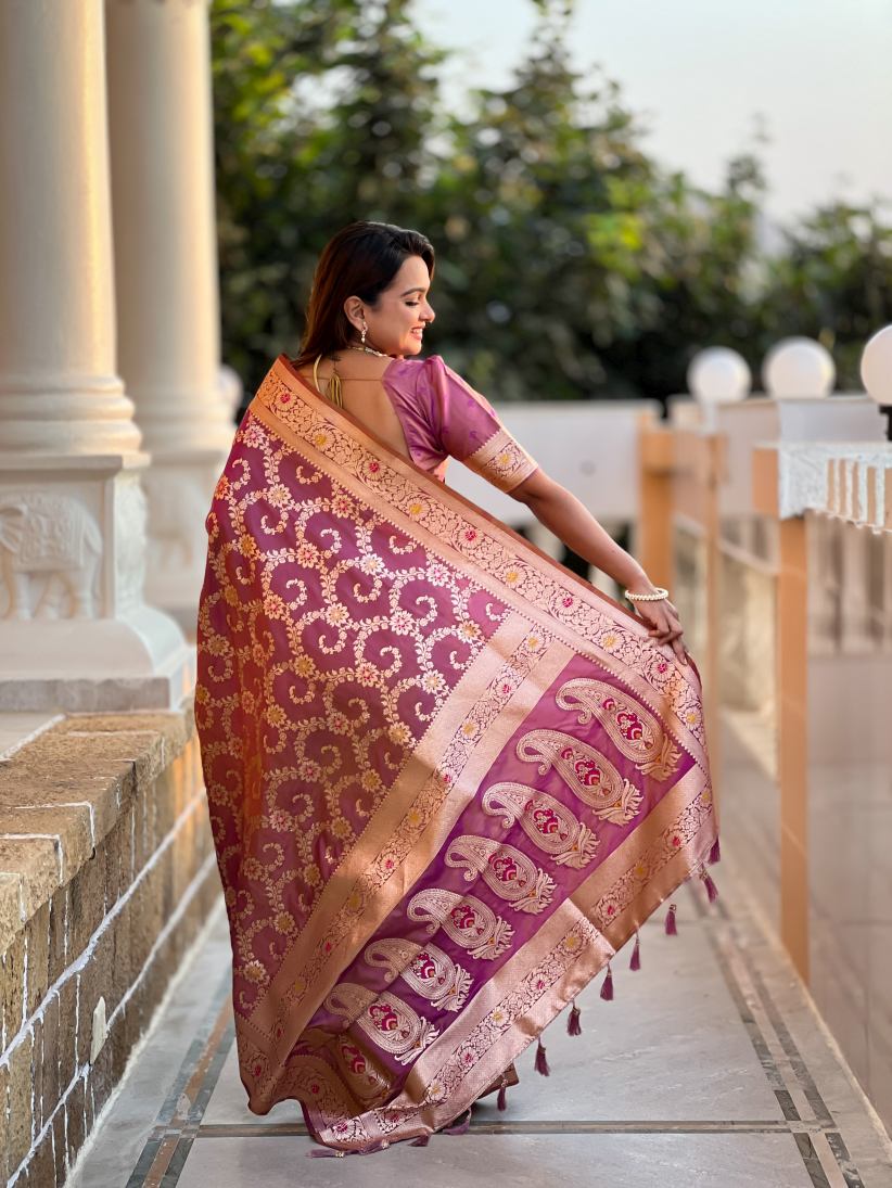 Catalog Designer Saree