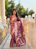 Catalog Designer Saree