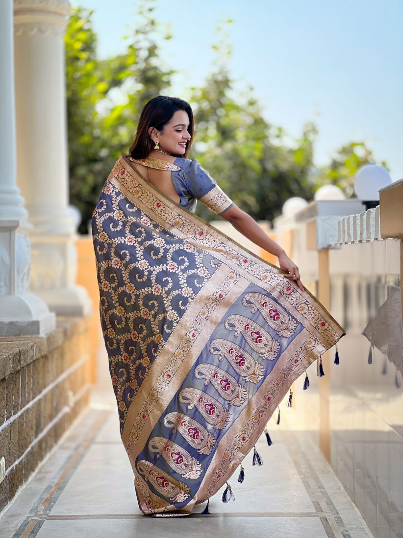 Catalog Designer Saree