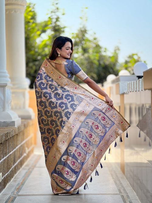 Catalog Designer Saree