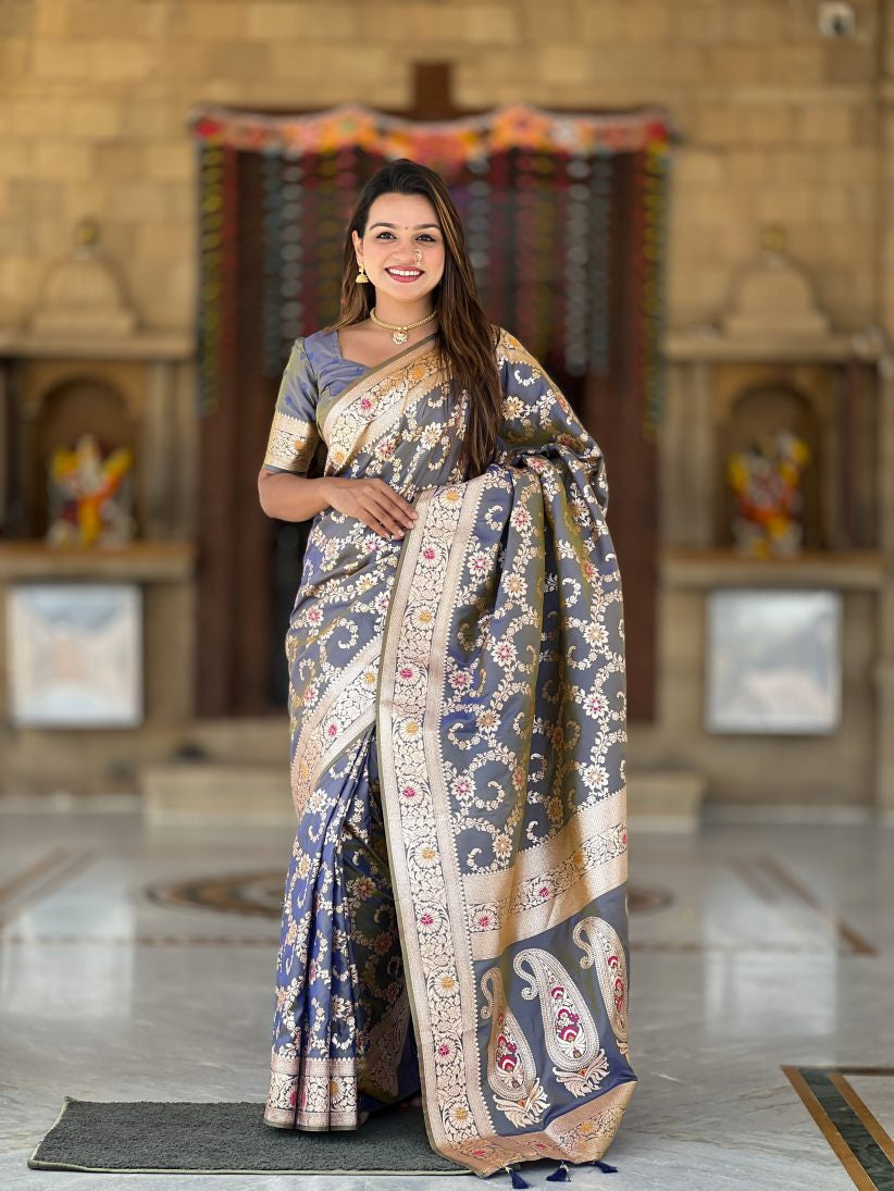 Catalog Designer Saree