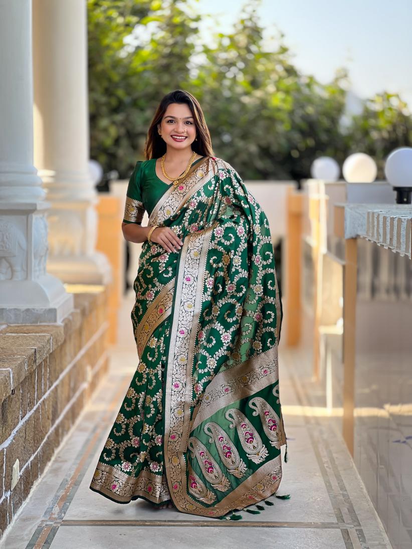 Catalog Designer Saree
