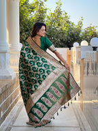 Catalog Designer Saree