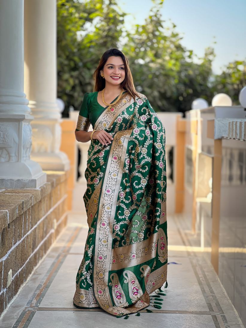 Catalog Designer Saree