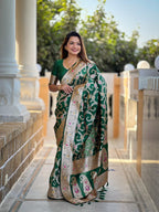 Catalog Designer Saree