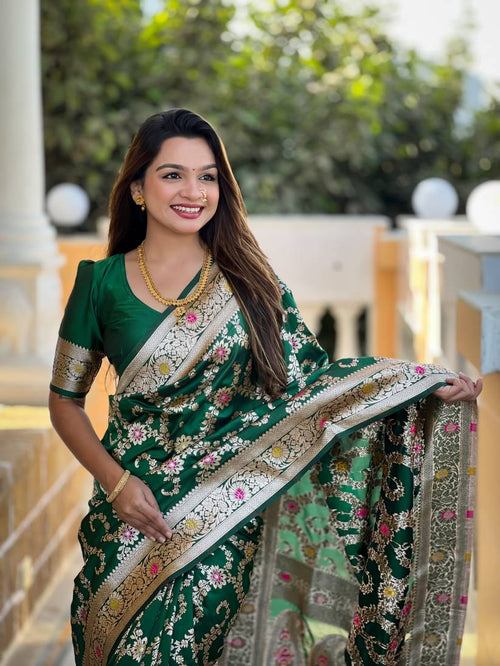 Catalog Designer Saree