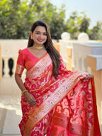Catalog Designer Saree