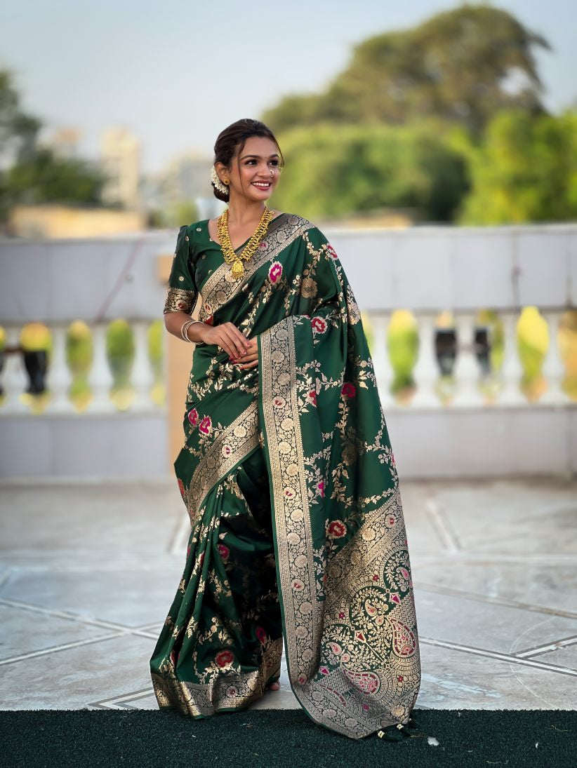 Catalog Designer Saree