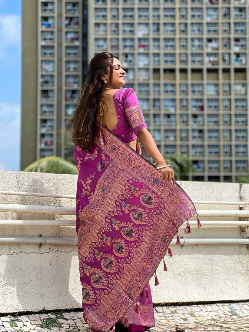 Catalog Designer Saree