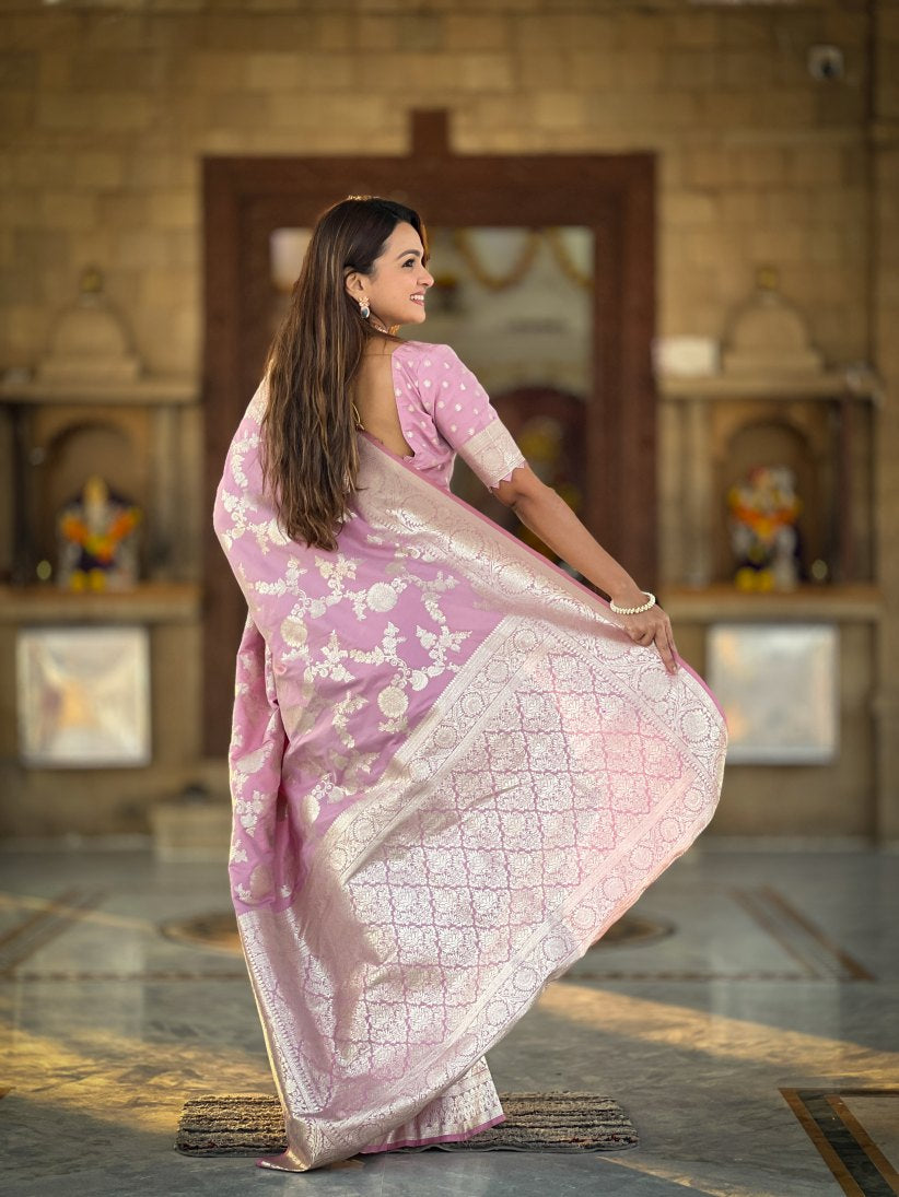 Catalog Designer Saree