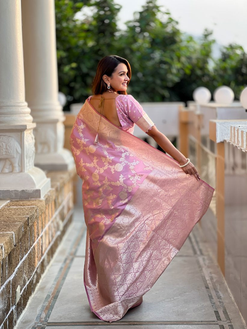 Catalog Designer Saree