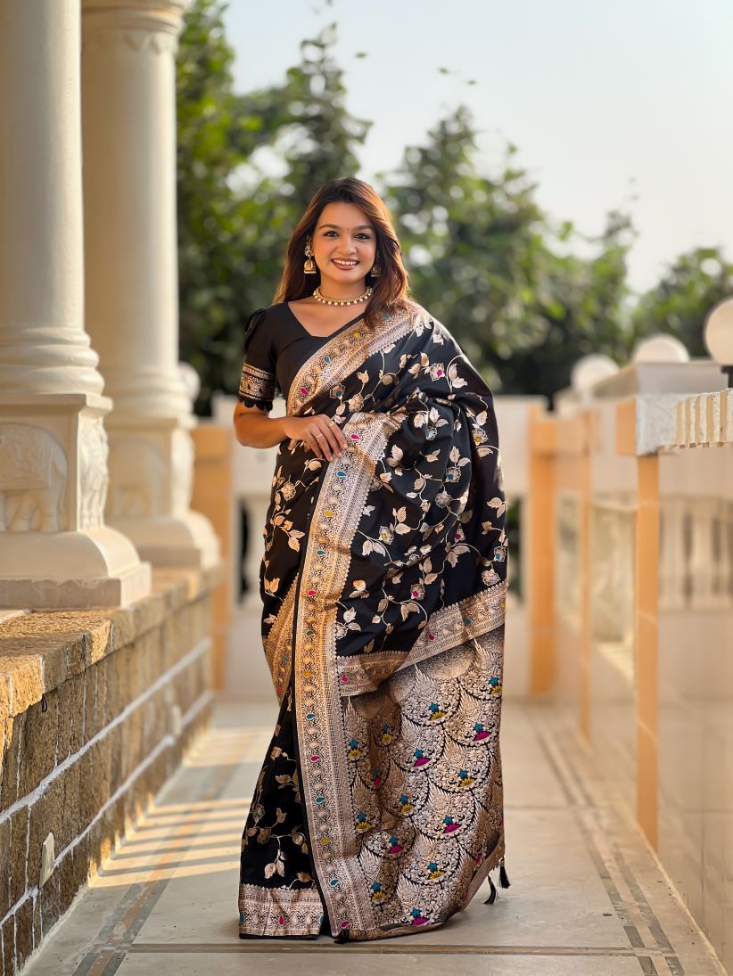 Catalog Designer Saree