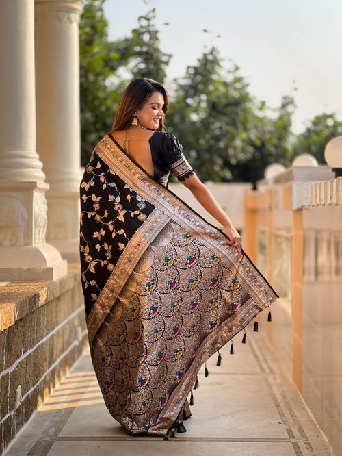 Catalog Designer Saree