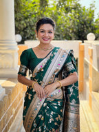 Catalog Designer Saree