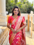 Catalog Designer Saree