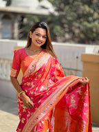 Catalog Designer Saree
