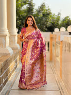 Catalog Designer Saree