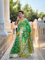 Catalog Designer Saree