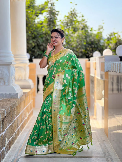 Catalog Designer Saree