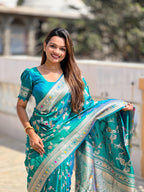 Catalog Designer Saree