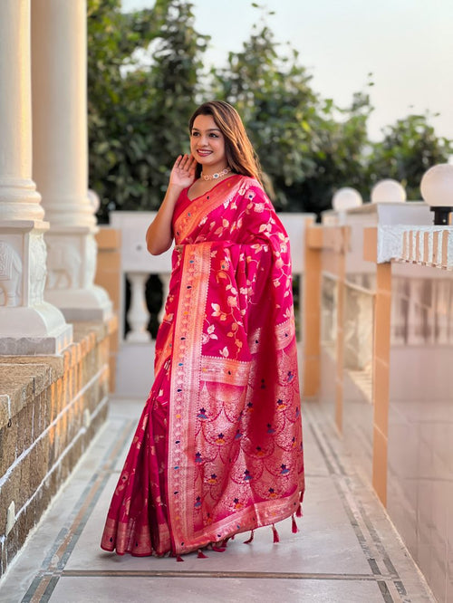 Catalog Designer Saree
