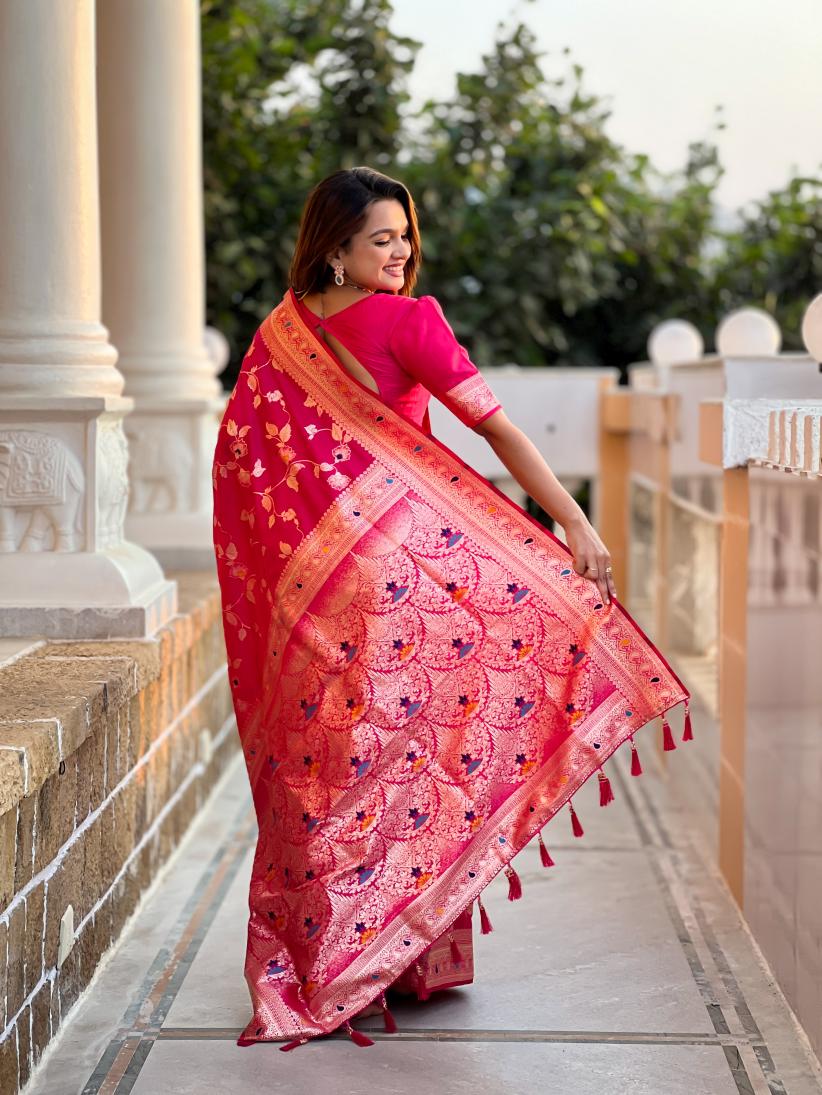 Catalog Designer Saree