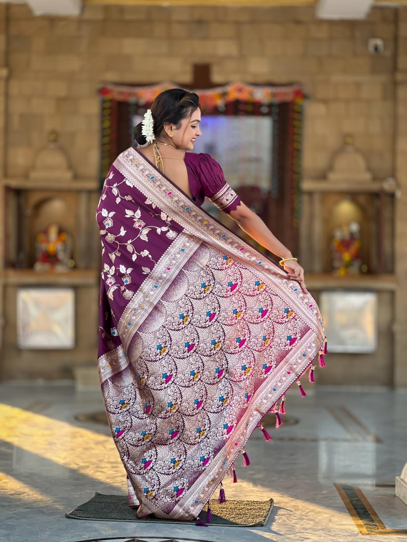 Catalog Designer Saree
