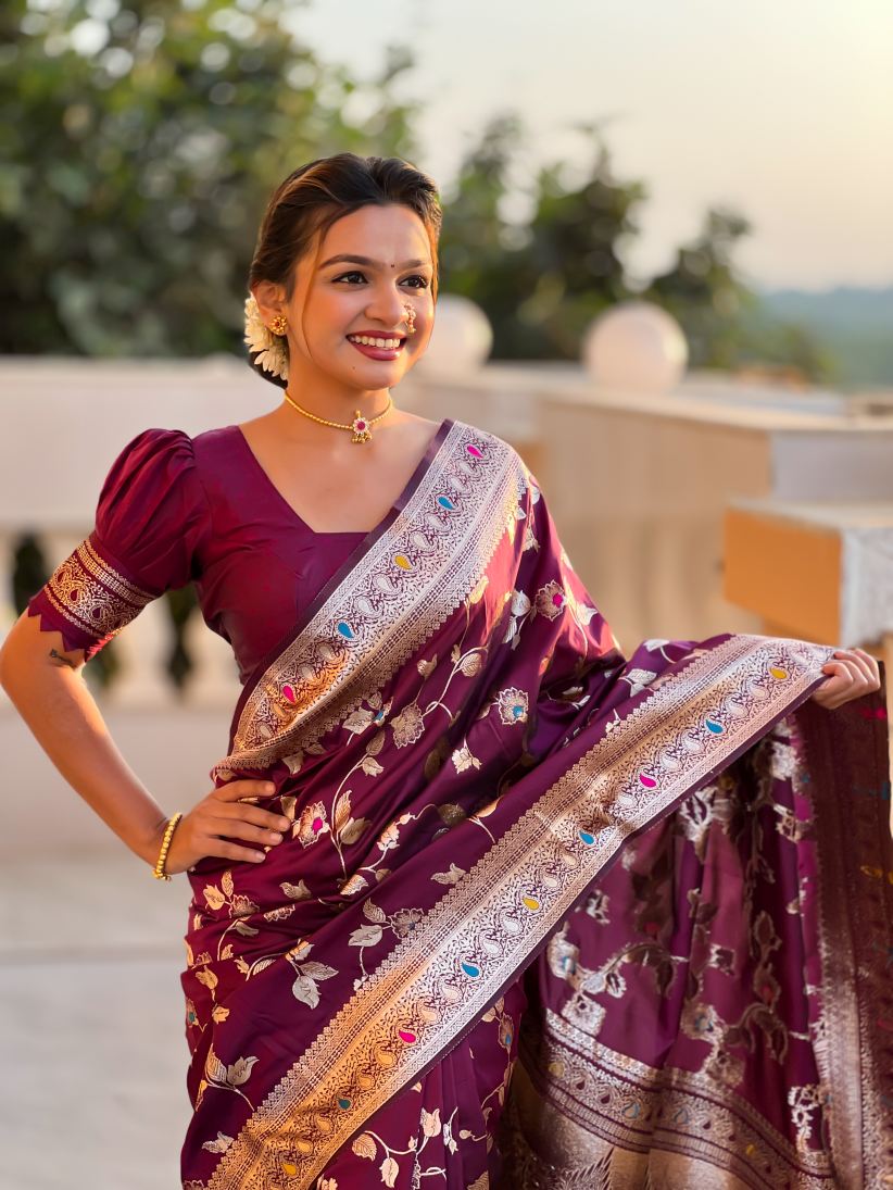Catalog Designer Saree