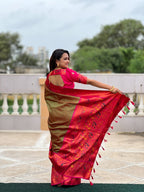 Catalog Designer Saree