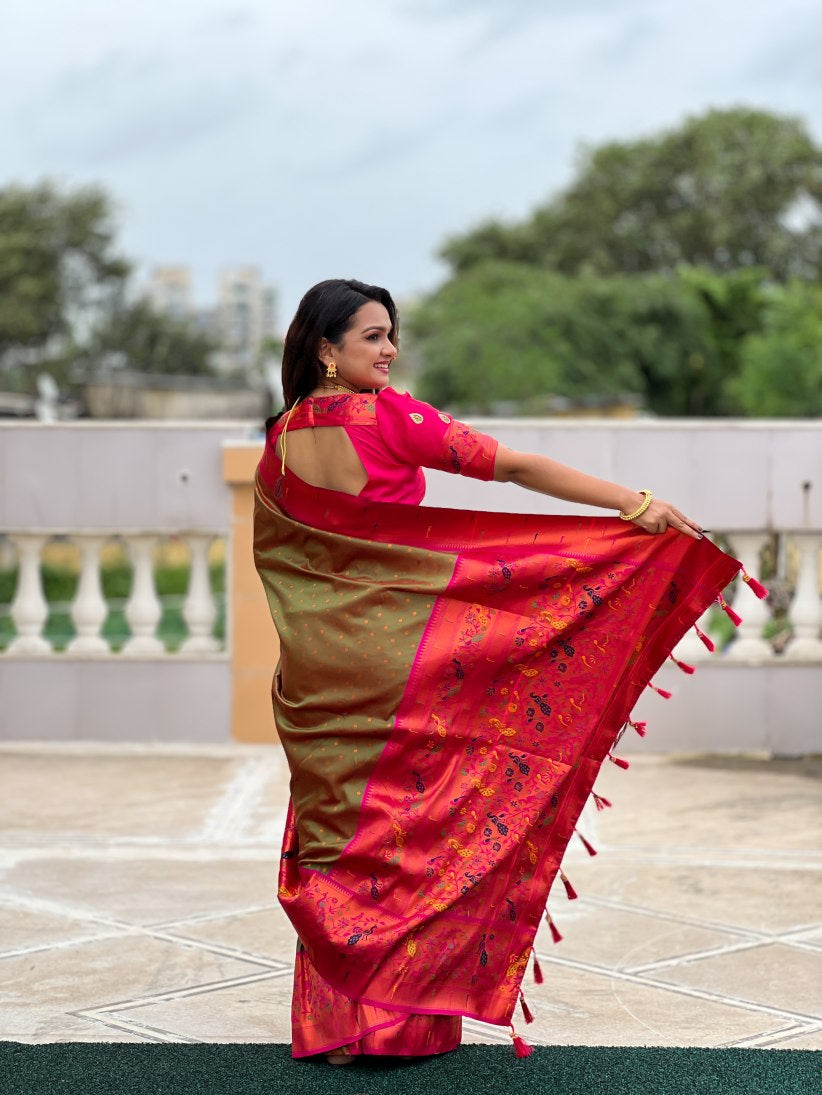 Catalog Designer Saree