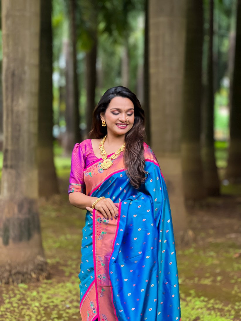 Catalog Designer Saree