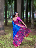 Catalog Designer Saree