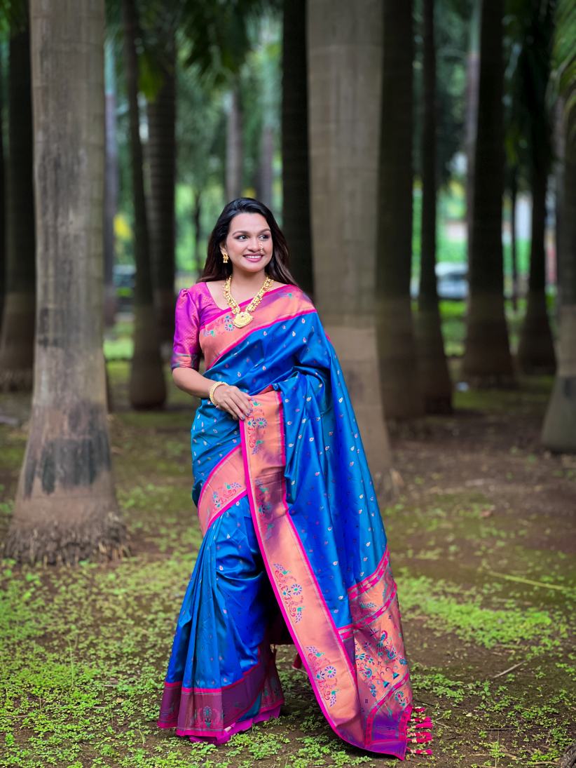 Catalog Designer Saree