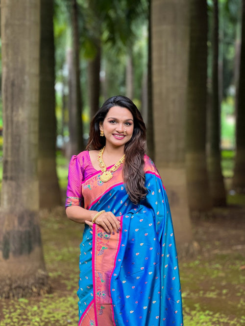 Catalog Designer Saree