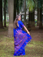 Catalog Designer Saree