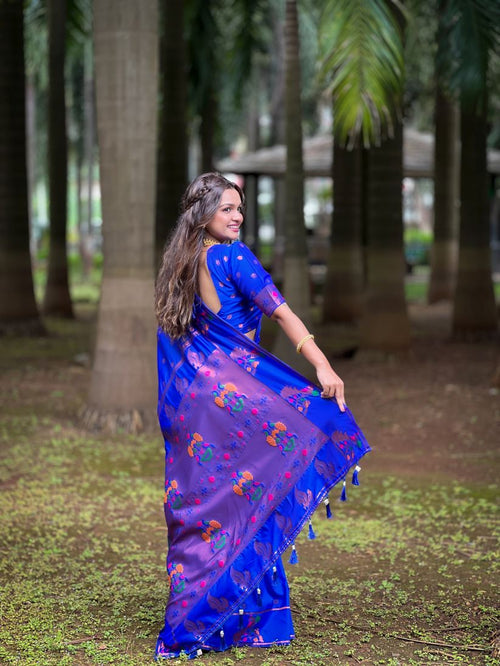 Catalog Designer Saree