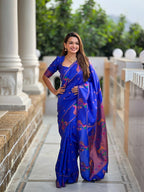 Catalog Designer Saree