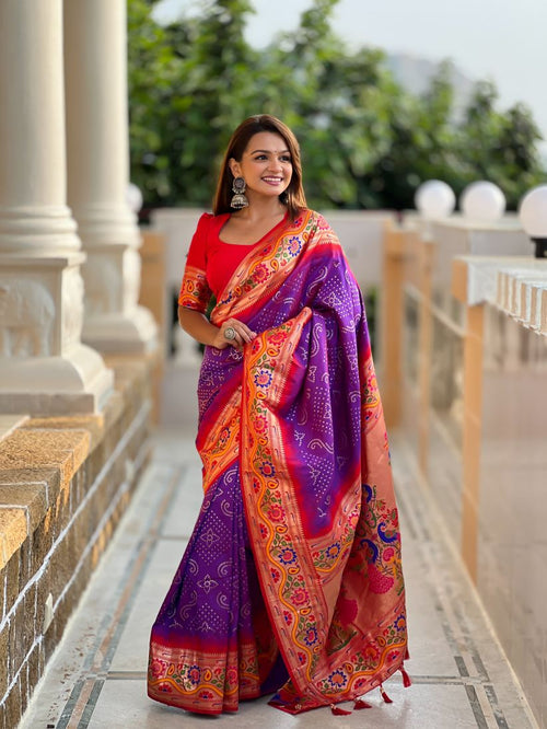 Catalog Designer Saree