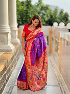 Catalog Designer Saree